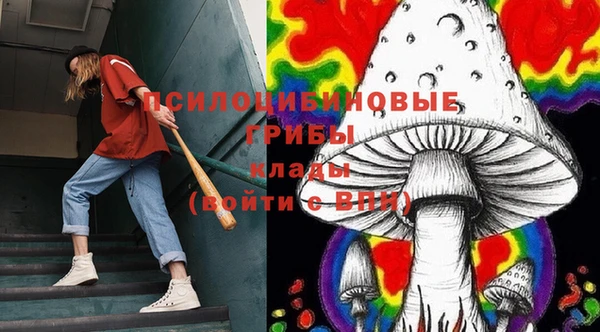 молекула духа Балабаново