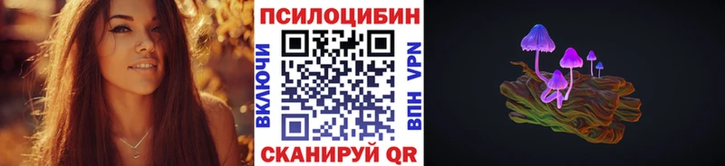 Купить закладки Дорогобуж Псилоцибиновые грибы мухоморы