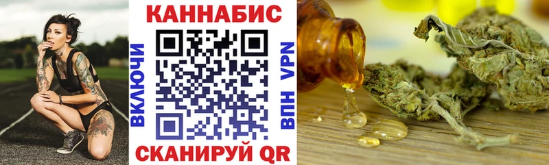 Купить закладки  Дорогобуж  Шишки марихуана сатива 